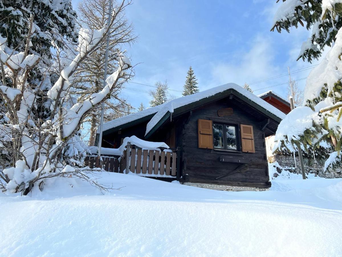 Entire Cozy Chalet In St-Cergue - 30 Min From Geneva Saint-Cergue Exterior foto