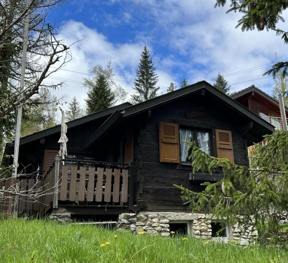 Entire Cozy Chalet In St-Cergue - 30 Min From Geneva Saint-Cergue Exterior foto